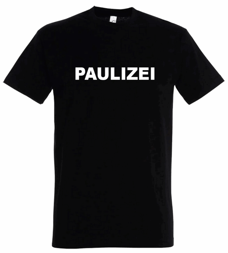 2025-PAULIZEI-TS.png